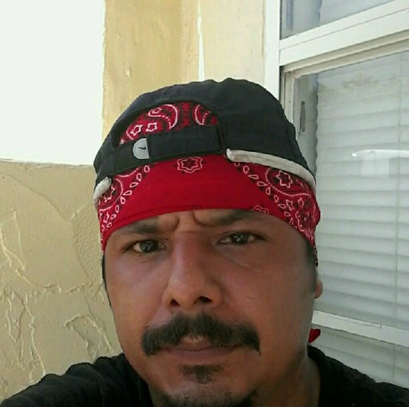 Meet your Posher, Oliver - Picture 1 of 1